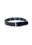 fetish-boss-series-collar-with-studs-2-cm-marka-inna