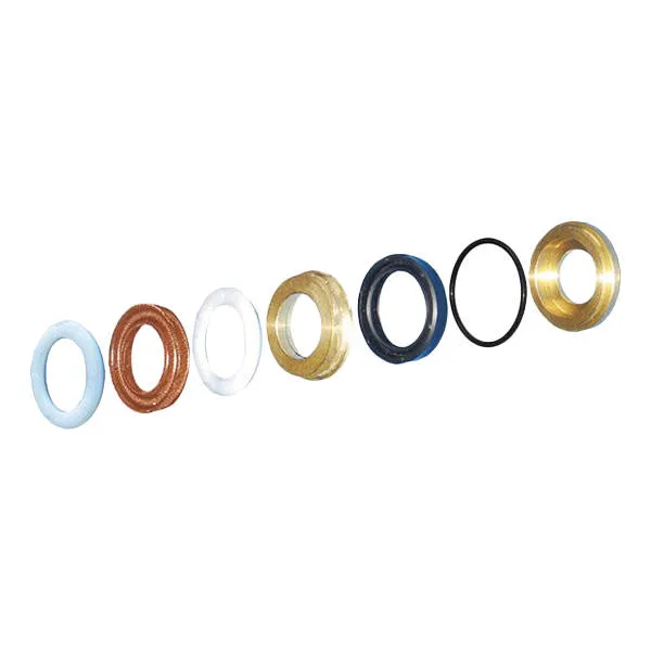 komplet-uszczelnien-interpump-dn18-kit167