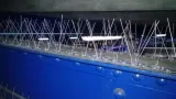 kolce-typ-v-dl-50-cm-zastosowanie-przeciwko-ptakom