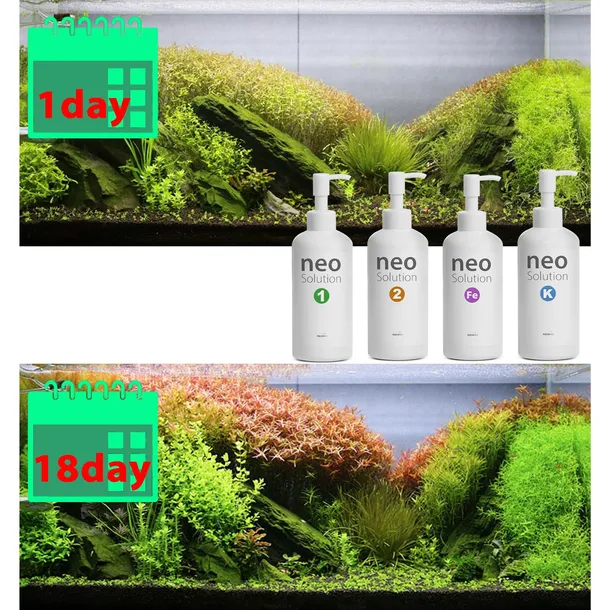 neo-solution-k-1000ml-potas-w-plynie