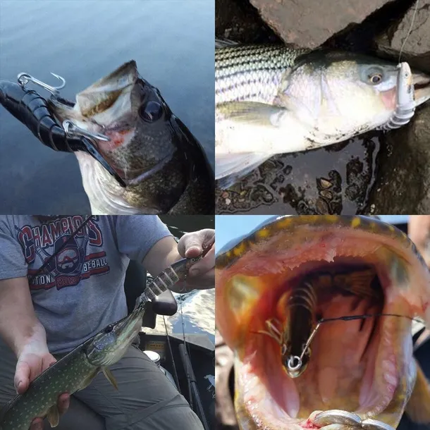 tonaca-przyneta-na-ryby-stan-nowy