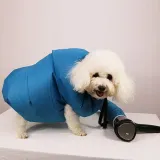 suszarka-dla-pieska-spaniel-terier-marka-inna