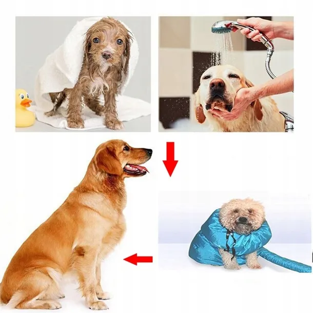 suszarka-dla-pieska-spaniel-terier-wlosie-inne