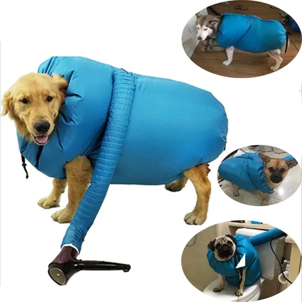 suszarka-dla-pieska-spaniel-terier-przeznaczenie-brak-informacji