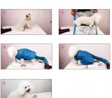 suszarka-dla-pieska-spaniel-terier-stan-nowy-marka-inna