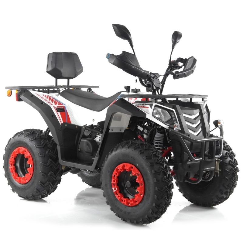 Quad Atv 250 Apollo Magnum Felgi Stalowe Homologacja T3b Euro5 Erlipl