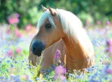 ravensburger-puzzle-300-el-kon-stan-nowy