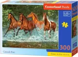 castor-puzzle-300-el-cascade-run