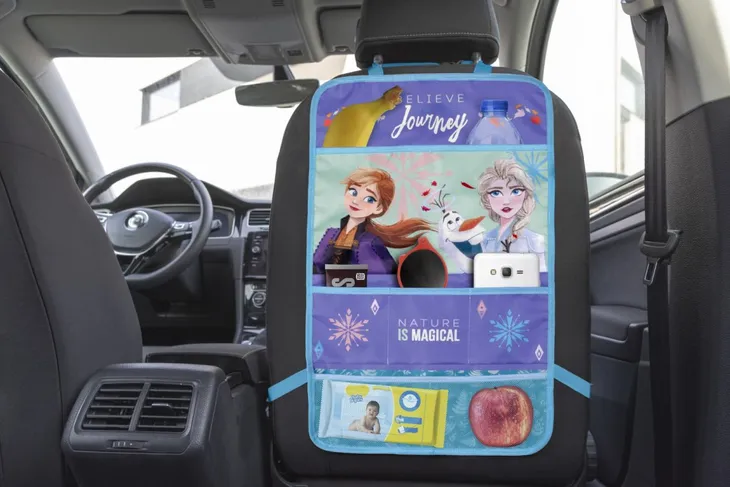 organizer-frozen-stan-nowy
