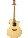 randon-rgi-04ce-gitara-elektroakustyczna