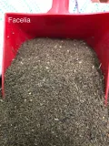 faclia-1kg-waga-z-opakowaniem-1-5-kg