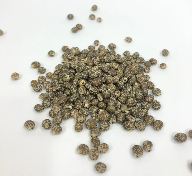 lubin-gorzki-1kg-waga-z-opakowaniem-1-5-kg