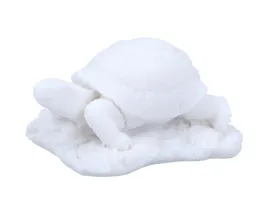 zolw