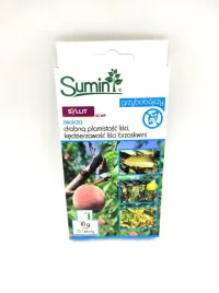 syllit-65-wp-10g
