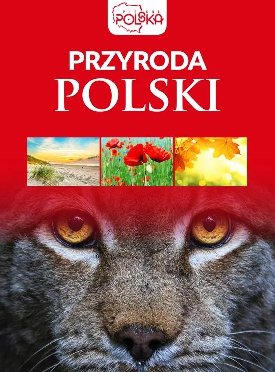 Grafika w opisie produktu