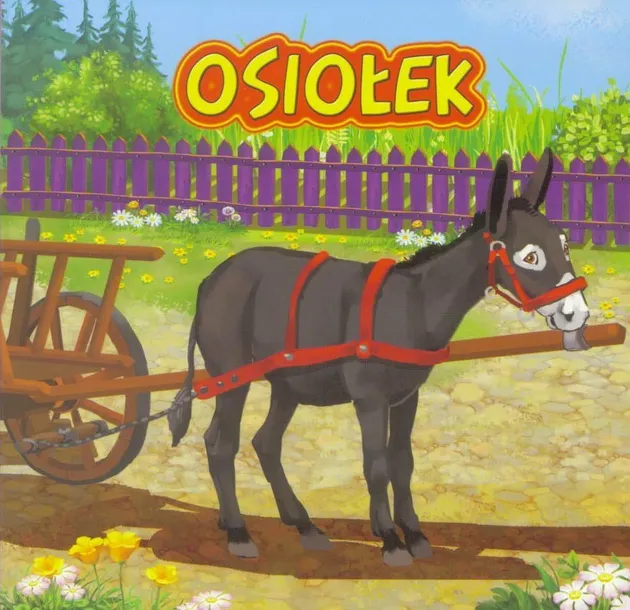 osiolek-jafi-katarzyna-campbell