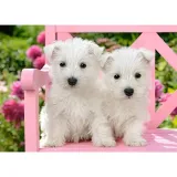 puzzle-120el-white-terrier-stan-nowy