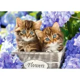 puzzle-60el-cute-kittens-stan-nowy
