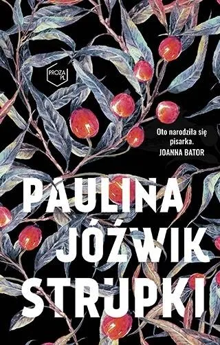 Grafika w opisie produktu