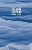 sroga-zima-raymond-queneau