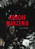 kruche-marzenia-beata-strozik