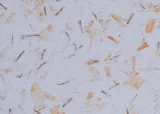 tynk-japonski-poldecor-typ-9