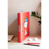 snoopy-segregator-2-ringi-stan-nowy