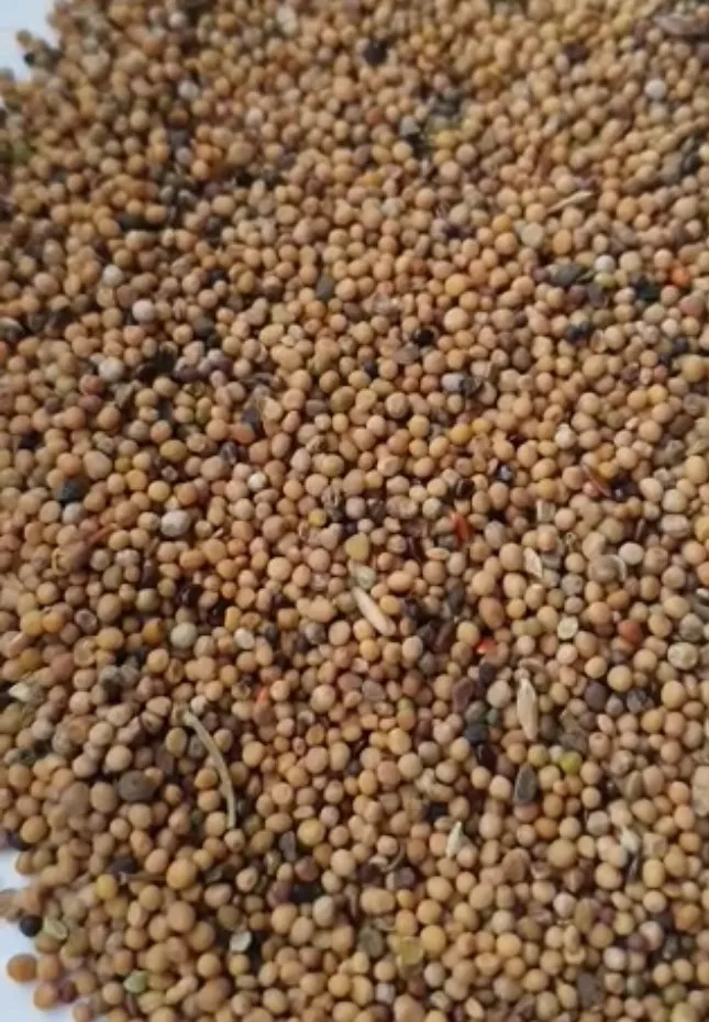 gorczyca-25kg
