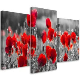 obraz-tryptyk-maki-czerwone-150x100