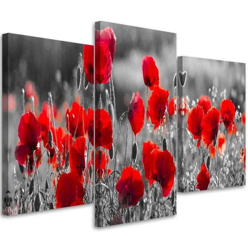 obraz-tryptyk-maki-czerwone-150x100-stan-nowy