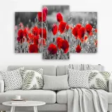 obraz-tryptyk-maki-czerwone-150x100-stan-nowy