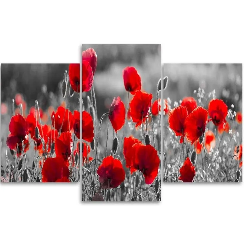 obraz-tryptyk-maki-czerwone-150x100