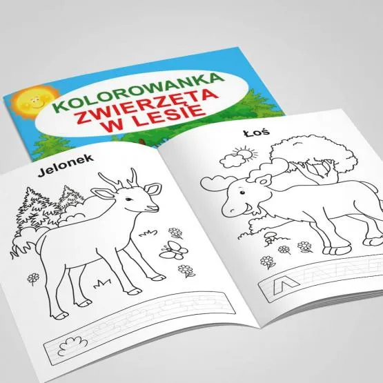 kolorowanka-w-lesie-wydawnictwo-wydawnictwo-martel