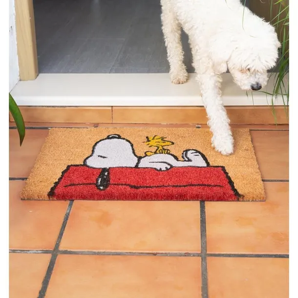 snoopy-wycieraczka-rodzaj-gotowa
