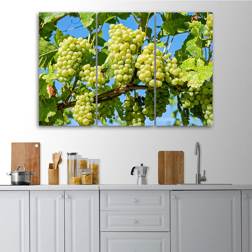 obraz-tryptyk-winogrona-biale-60x40