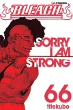 manga-bleach-tom-66
