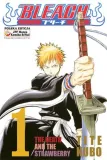 manga-bleach-tom-1