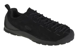 keen-jasper-1026592-445