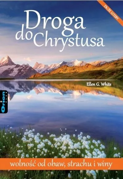 Grafika w opisie produktu