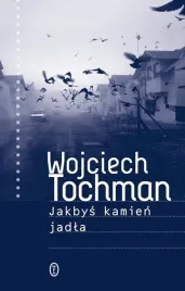 jakbys-kamien-jadla