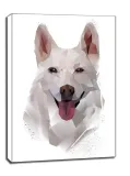 husky-obraz-na-plotnie-60x80-cm