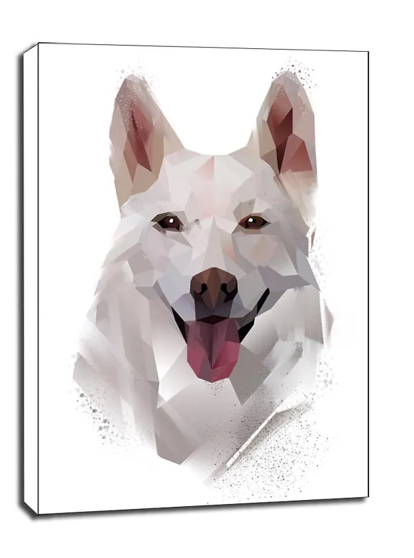 husky-obraz-na-plotnie-60x80-cm