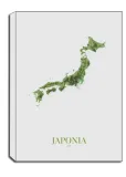 japonia-mapa-obraz-na-plotnie-50x70-cm