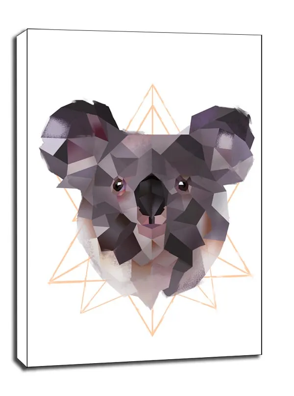 koala-biale-tlo-obraz-na-plotnie-60x80-cm