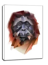 orangutan-obraz-na-plotnie-70x100-cm