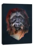 orangutan-tlo-obraz-na-plotnie-20x30-cm