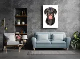 pies-obraz-na-plotnie-30x40-cm-stan-nowy