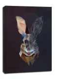 rabbit-tlo-obraz-na-plotnie-40x60-cm