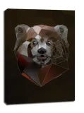 redpanda-tlo-obraz-na-plotnie-90x120-cm