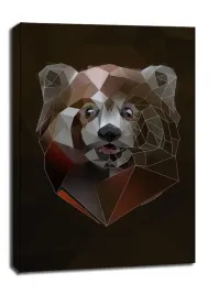 redpanda-tlo-obraz-na-plotnie-90x120-cm
